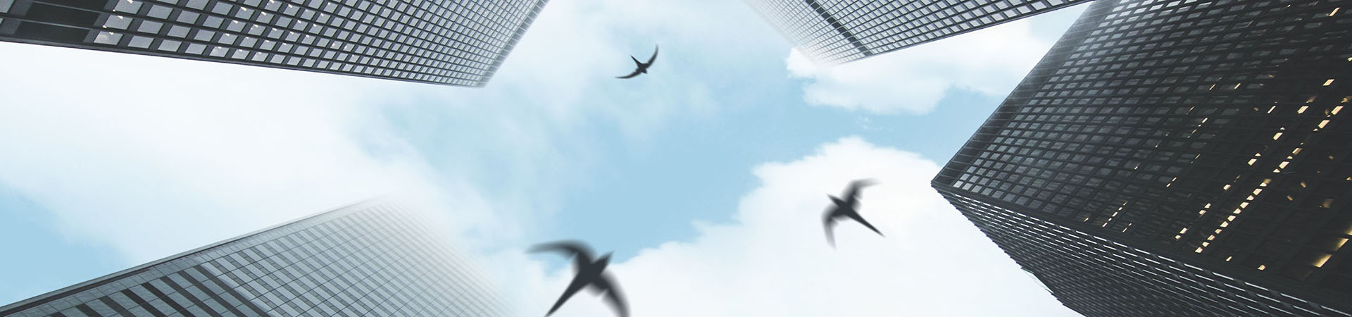 Three swallow birds flying among the skyscrapers of Astrum Assistance Alliance AG members, symbolizing unity and collaboration